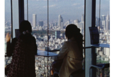 The Anabasis of May and Fusako Shigenobu, Masao Adachi, and 27 Years Without Images 2011, vidéo couleur, son stéréo, 4:3, 66 minutes. (2) 