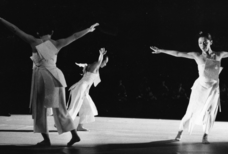 Kin-iro no kaze no kanata / L’autre côté du vent doré 