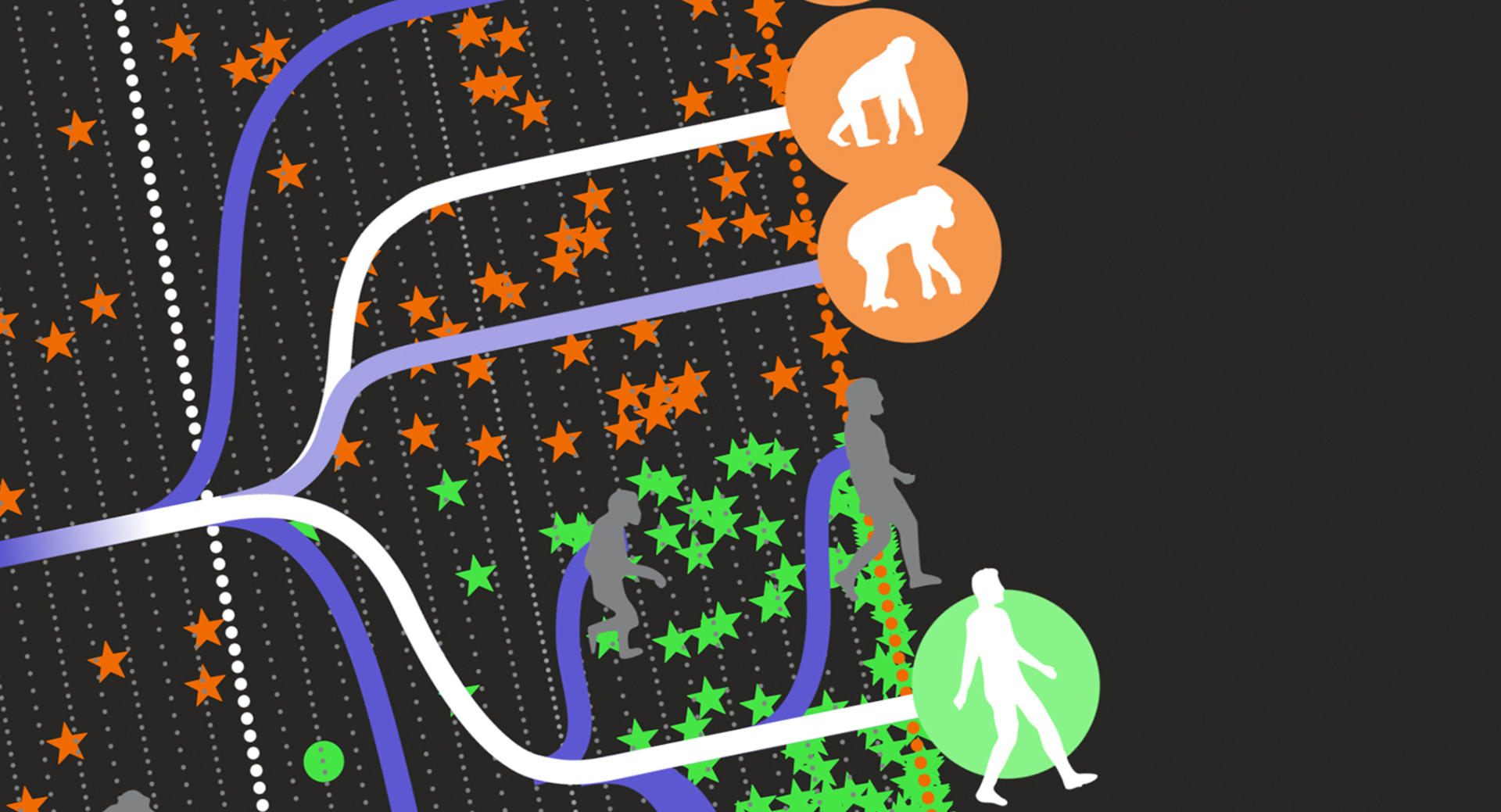 Data Science vs Fake