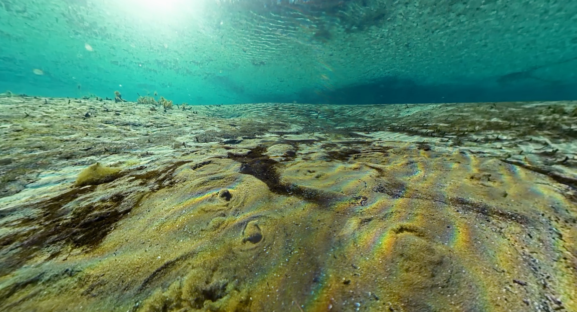 Immersion en eau phréatique VR