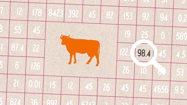 Data Science vs Fake